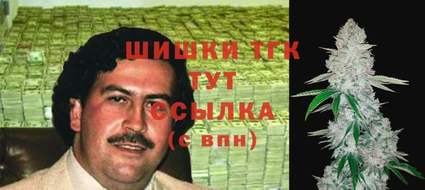 твердый Арсеньев