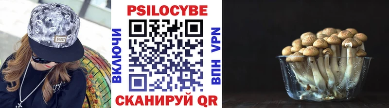 Псилоцибиновые грибы GOLDEN TEACHER  kraken как войти  Байкальск 
